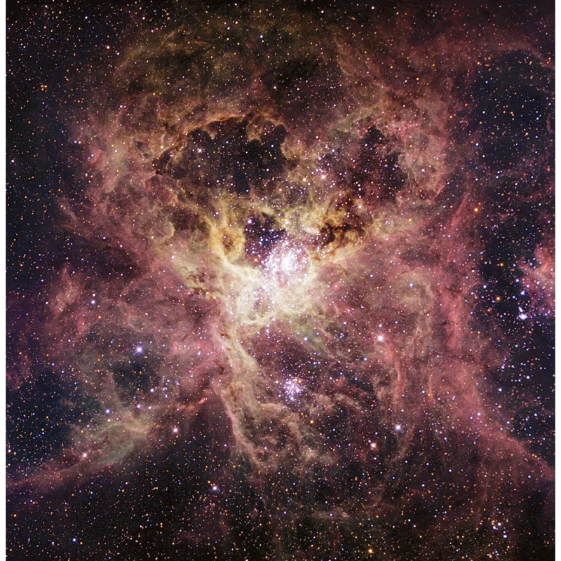 Immagine ottica della nebulosa Tarantola. © ROBERT GENDLER/SCIENCE PHOTO LIBRARY