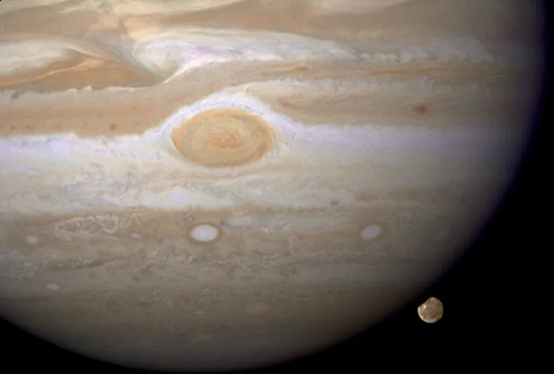 Giove e Ganimede. © NG Images / Alamy