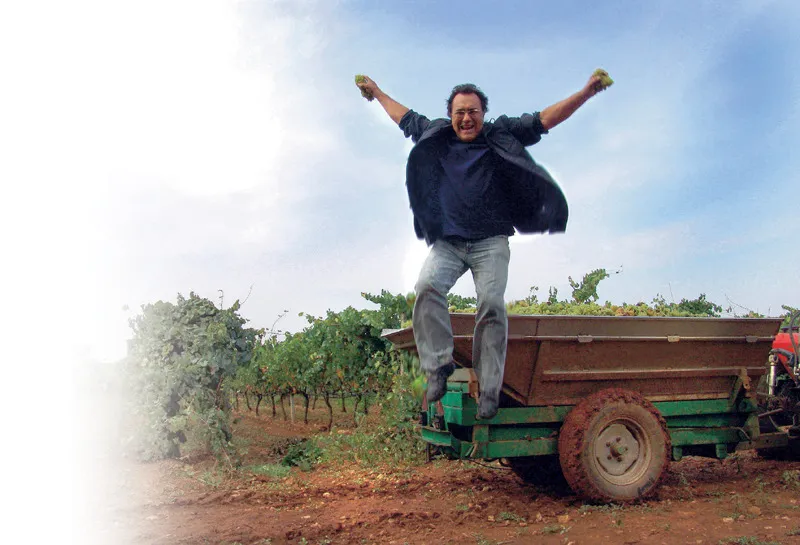 Cellino San Marco, 2003, durante la vendemmia. (© Nicola Allegri/Editoriale Gli Olmi)