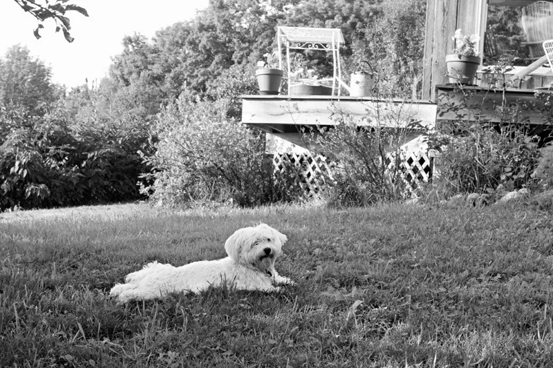 Foto di Chris Vandercook