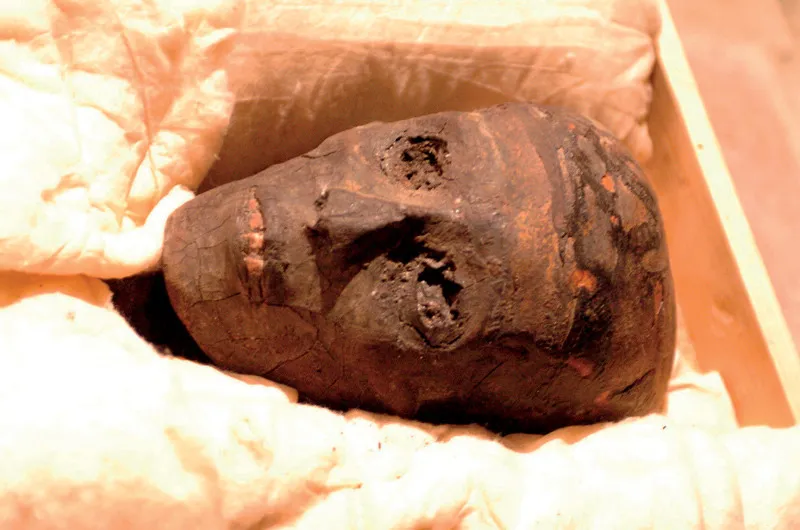Primo piano del volto di Tutankhamon, il Faraone bambino, che salì al trono a nove anni e morì a soli diciannove, probabilmente in un incidente di caccia.