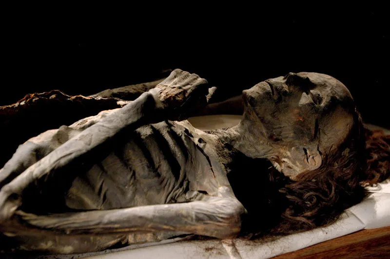 L’esame del Dna mitocondriale ha rivelato che la mummia dalla fluente capigliatura, nota come Elder Lady, è quella della potente regina Tiy, madre di Akhenaton e nonna molto amata di Tutankhamon.