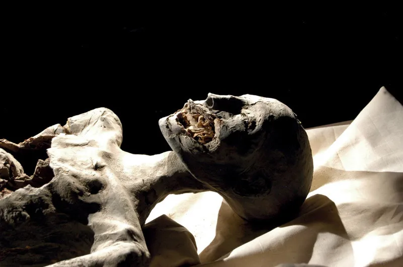 La mummia conosciuta come Younger Lady che l’archeologa Joann Fletcher aveva ritenuto essere quella di Nefertiti, ma che l’esame del Dna ha rivelato essere la madre di Tutankhamon.