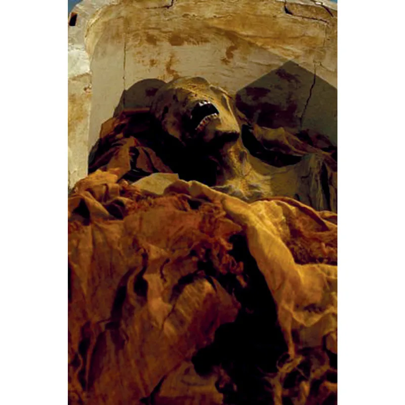 L’esame del Dna ha consentito di identificare la mummia del principe Pentaur, figlio di Ramses III, che probabilmente partecipò al complotto per assassinare il padre.