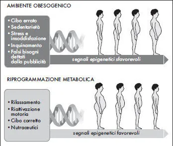 Rappresentazione grafica degli effetti epigenetici dell’ambiente obesogenico e della riprogrammazione metabolica.