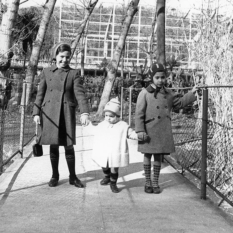 In alto. Una domenica allo zoo: Carmelita, Alessandro e Daniela nel 1967.