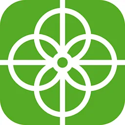 Icona. Quattro circonferenze tra loro intersecanti