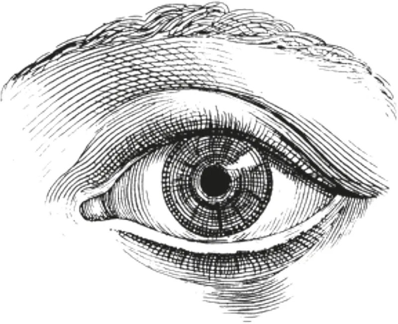 Illustrazione di un occhio