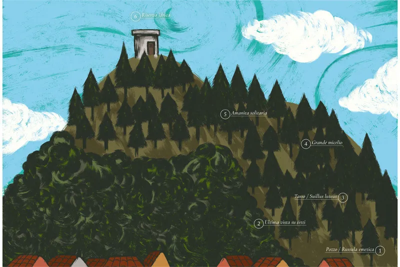 Il sentiero sul monte che monte non è