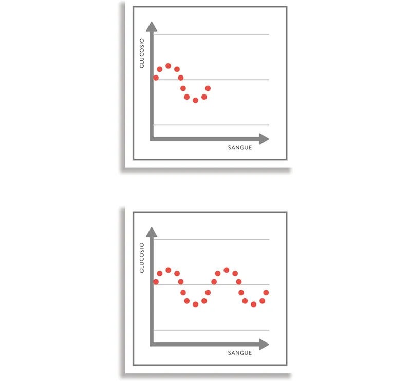 Fig. 1 – Il glucosio passa lentamente nel sangue, in virtù della struttura dei carboidrati complessi.