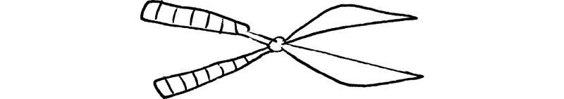 Immagine 1 Prendendo fiato a due passi dalla fine