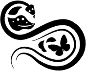 Immagine 1 Capitolo Due