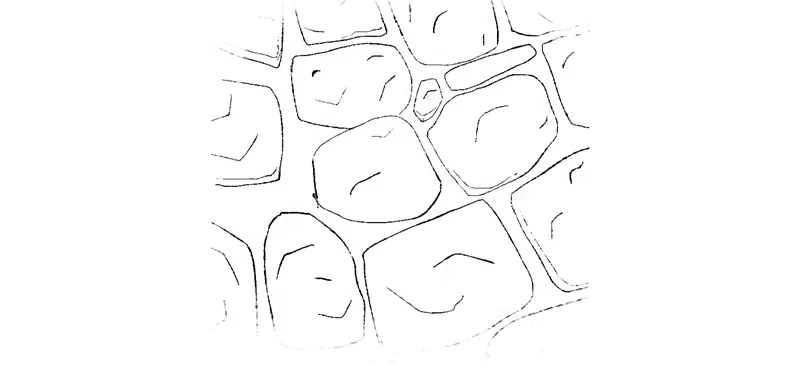 Immagine 5 LA QUINTA TAPPA