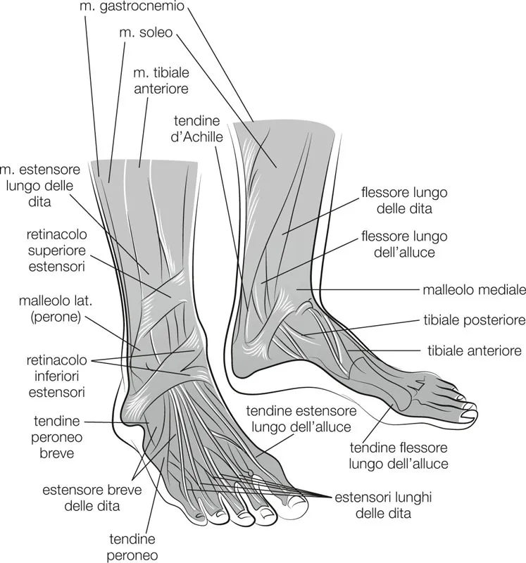 Immagine 1 Capitolo 1 IMPARA A CORRERE