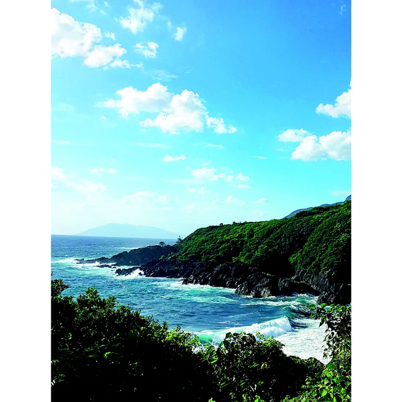 A sinistra: L’isola di Yakushima ospita alcune delle foreste più incontaminate dell’intero Giappone.