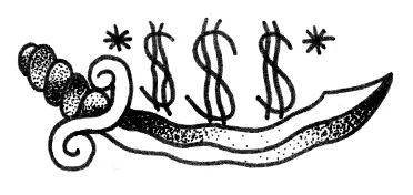 Immagine 2 NON SEGUIRE I TUOI SOGNI