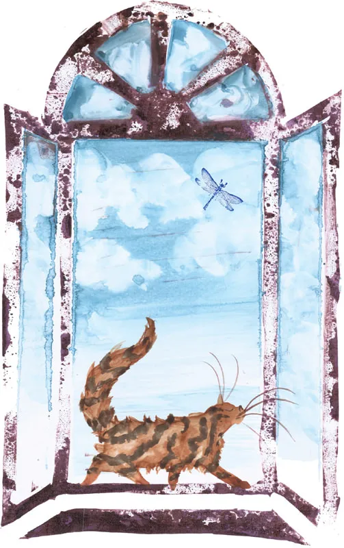 Immagine 2 Chi vuole uccidere Fred il Tacchino?