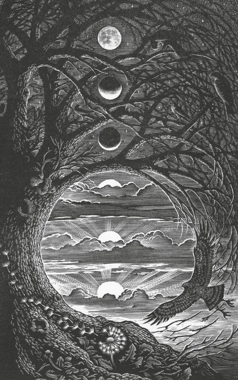 Ornamento di separazione