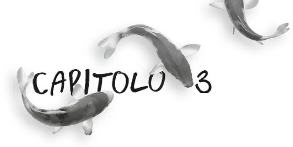 capitolo 3