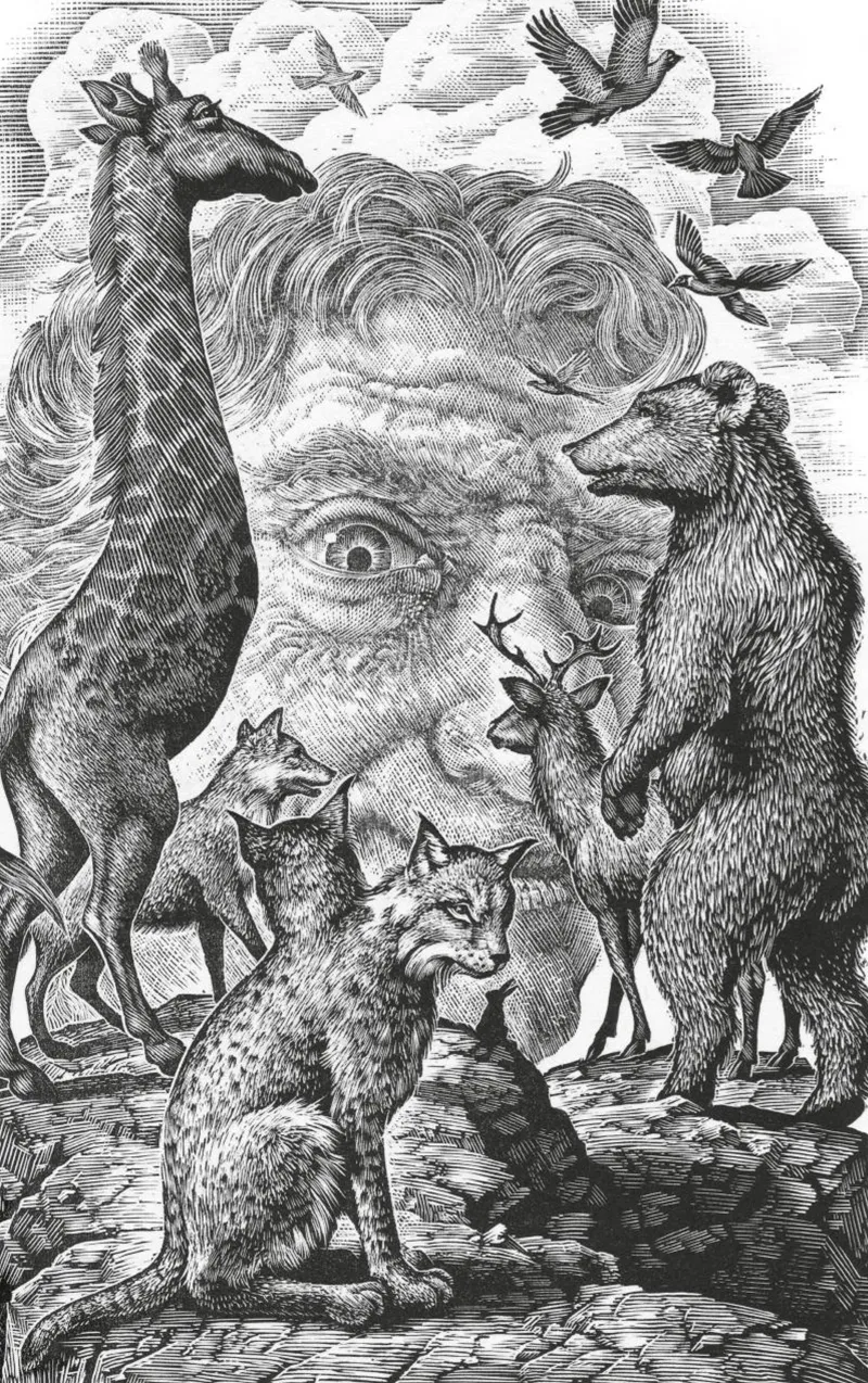 Ornamento di separazione