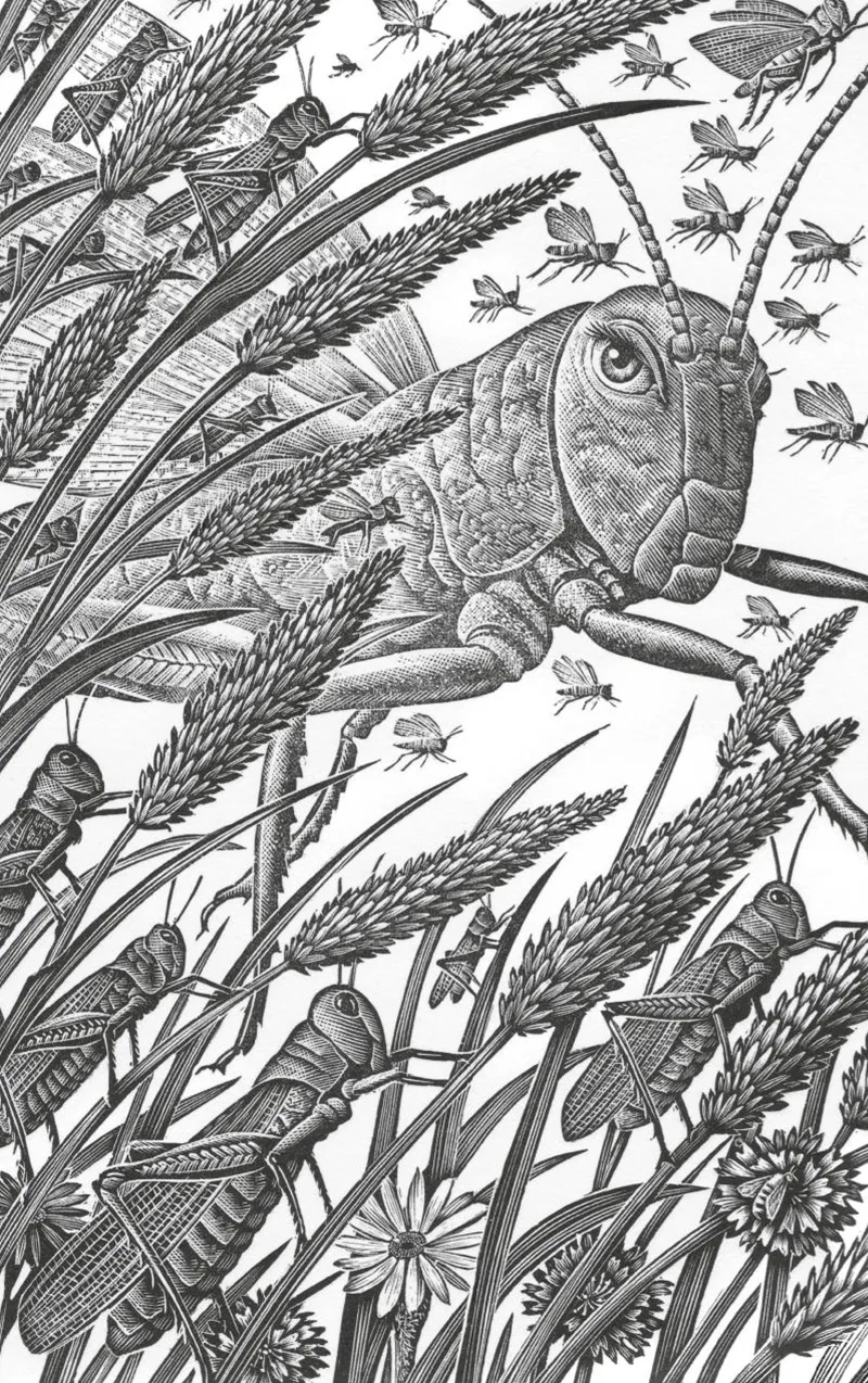 Ornamento di separazione