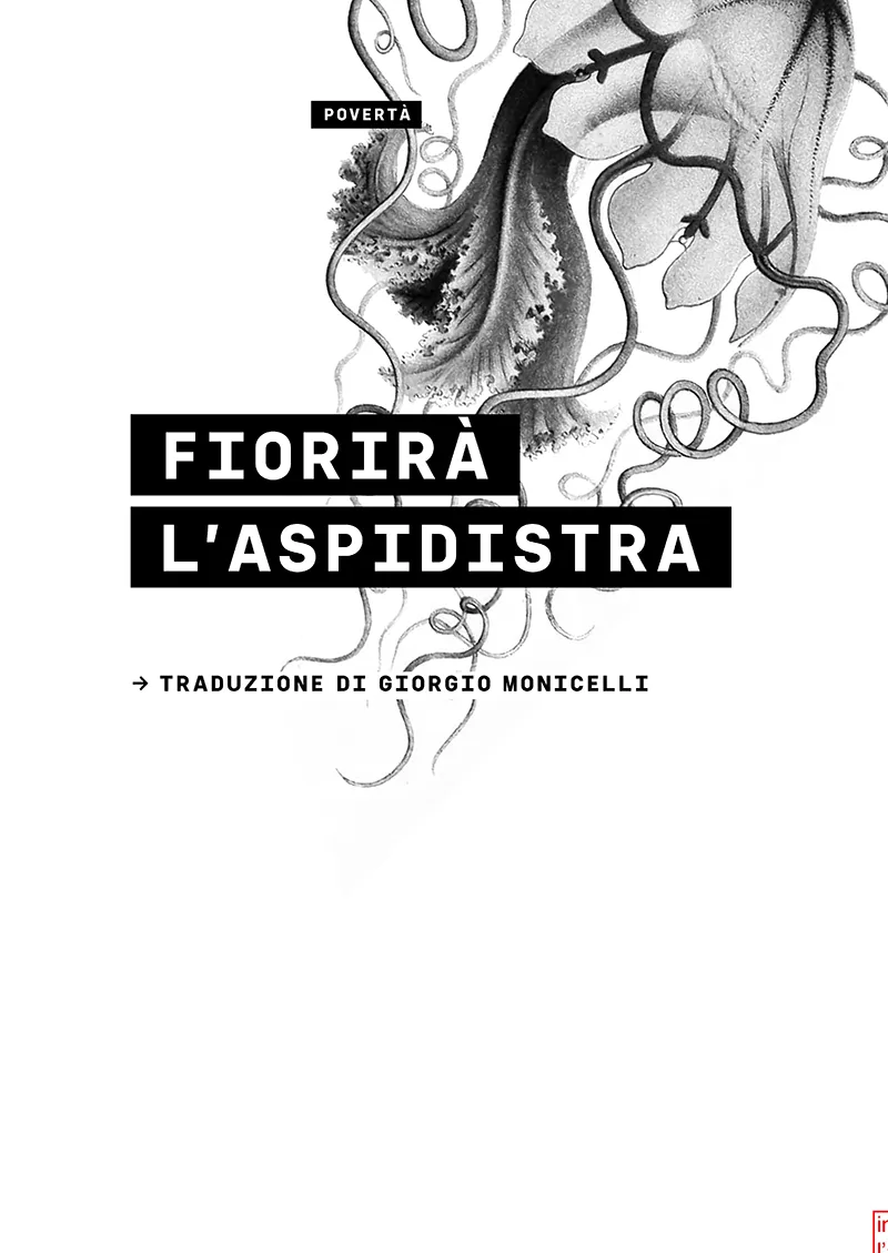FIORIRÀ L’ASPIDISTRA