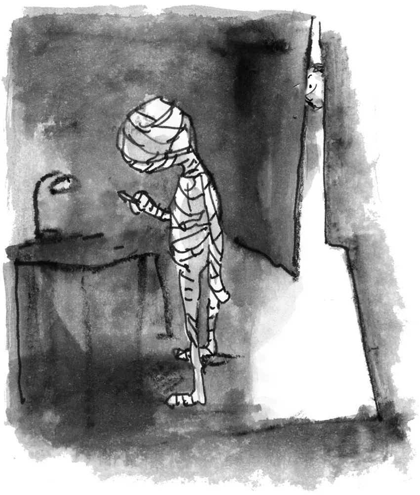 La mummia curiosa intorno