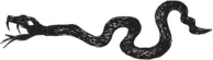 snake