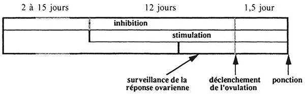  Planning de la phase pré-