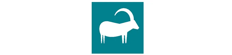 CAPRICORNO. VOI E IL 2022