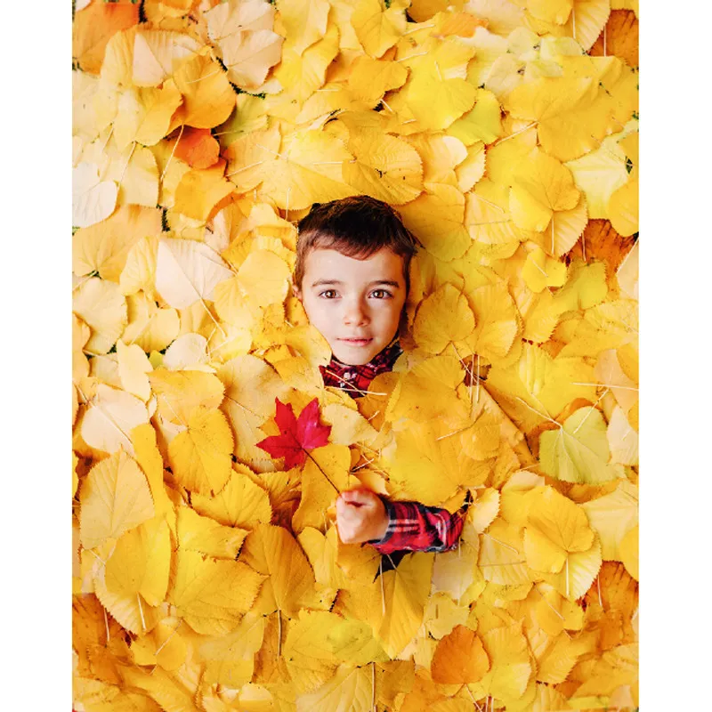 Diego d’autunno, novembre 2015