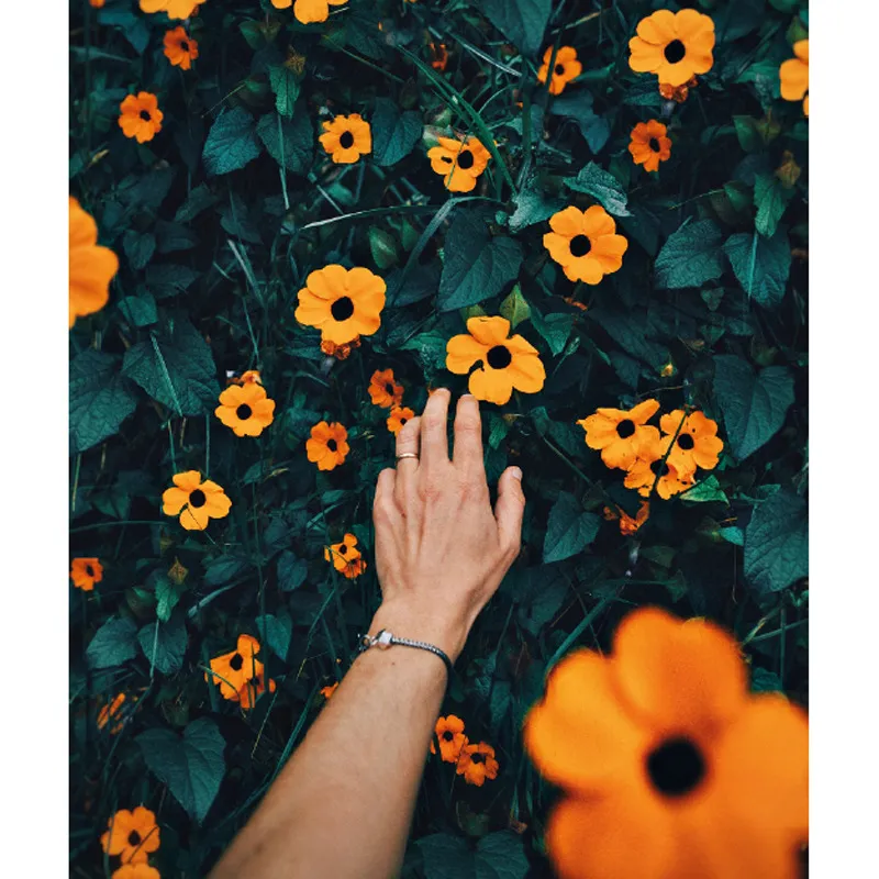 Colori di Bogotá, marzo 2017