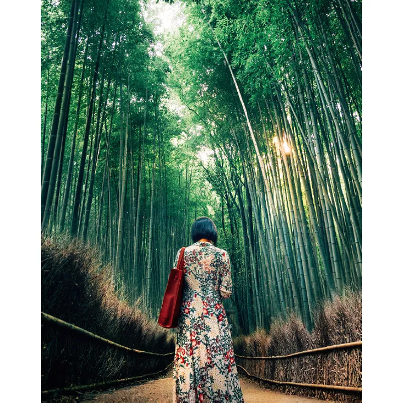 Geisha nella foresta di bambù, Kyoto, settembre 2016