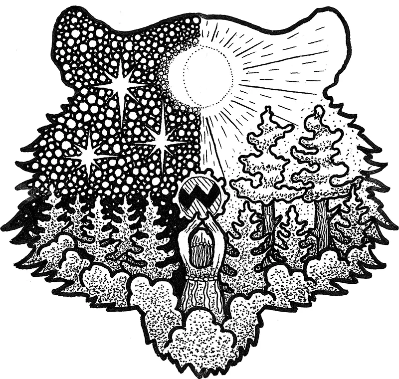 Bosco diviso tra notte e giorno