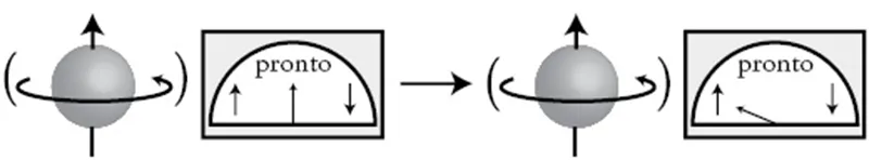 Hugh Everett III (Per gentile concessione dello Hugh Everett III Archive presso l’Università della California a Irvine e di Mark Everett).