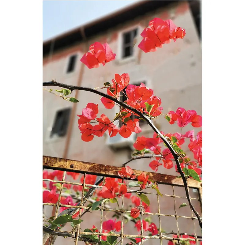 Garbatella ha un ritmo e un tempo tutti suoi, che solo dopo averla visitata potrete capire.