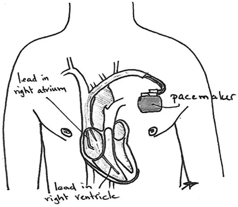 ../images/487542_1_En_1_Chapter/487542_1_En_1_Fig2_HTML.png