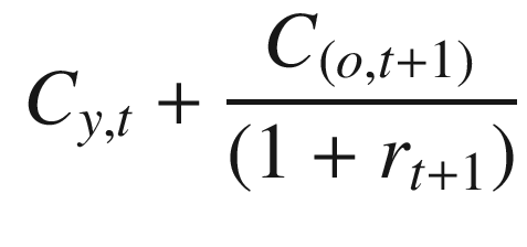 
$$\displaystyle \begin{aligned} C_{y,t} + \frac{C_{(o,t+1)}}{(1+r_{t+1})} {} \end{aligned} $$
