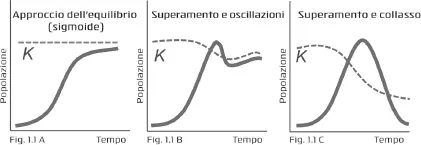 Figura 1.1. Risposta di un sistema vivente a una crescita esponenziale (la curva continua rappresenta una popolazione e la curva tratteggiata rappresenta la capacità di carico dell’ambiente)