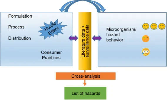 Schematic illustration of structuring of information essential to hazard identification.