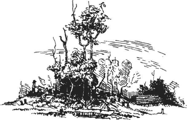 A drawing depicting an area with big and small trees and bushes. A man pushing a hand cart can be seen on the left.