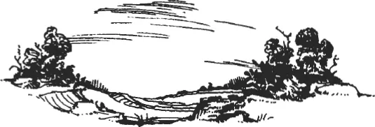 A black and white sketch of a landscape with some trees on both sides and dug up area.