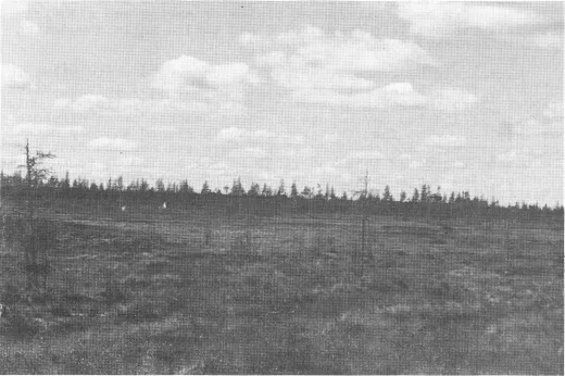 Photograph showing view of the Thyazzi ridge.