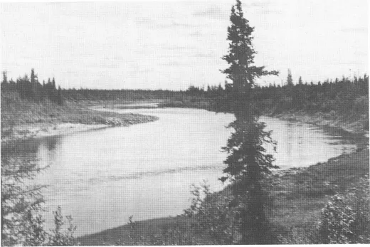 Photograph showing the Knife River near the Thyazzi site.