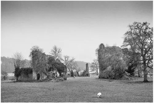 FIGURE 1. Templehouse/Loghnehely Manor. Photo by the author.