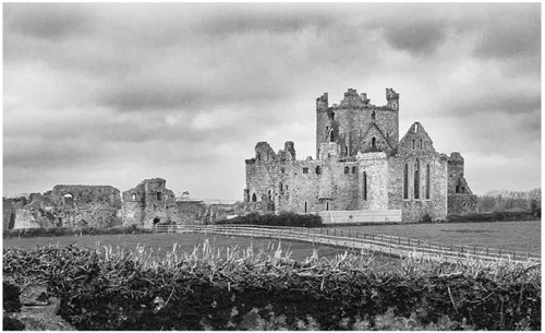 FIGURE 2. Dunbrody Abbey, which lost an ongoing dispute with the Templars, and which may have been the house of Adducc Dubh O’Toole. Photo by the author.