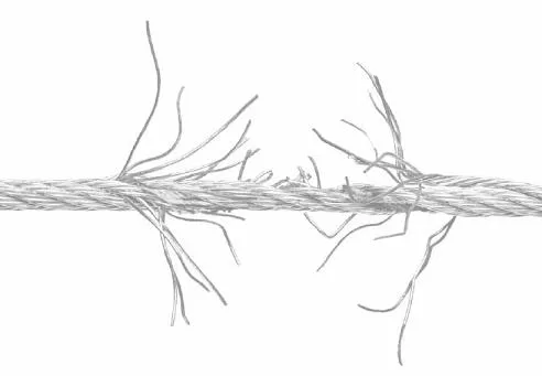 9781550924947_0030_001