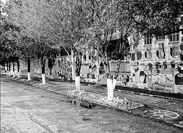 9781550924879-text_0024_001