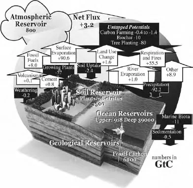 9781550924596_0092_001