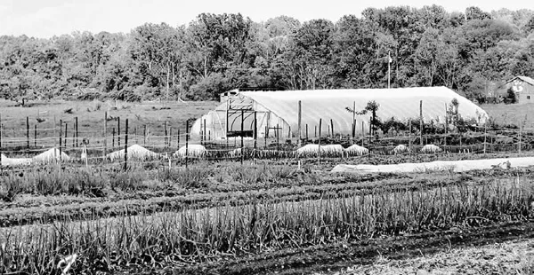 Protecting plants with a hoophouse or rowcover can extend the season. Credit: Kathryn Simmons.